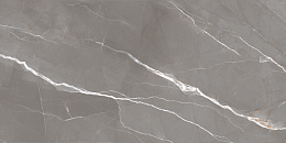 Керамический гранит Эссеншл темно-серый / Essential Graphite полированный 60120ESE25P 600x1200 (New Trend)