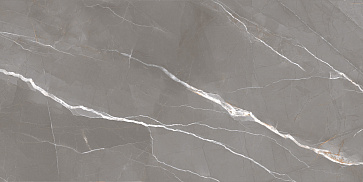 Керамический гранит Эссеншл темно-серый / Essential Graphite полированный 60120ESE25P 600x1200 (New Trend)