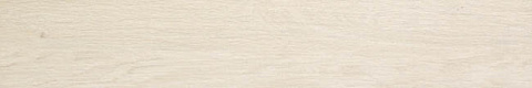 Керамический гранит ETIC Rovere Bianco AJ68 (Atlas concorde)