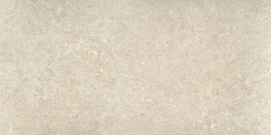Керамический гранит Ulisse Natural Matt. N30150 595x1200 (STN Ceramica)
