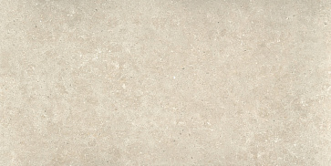 Керамический гранит Ulisse Natural Matt. N30150 595x1200 (STN Ceramica)