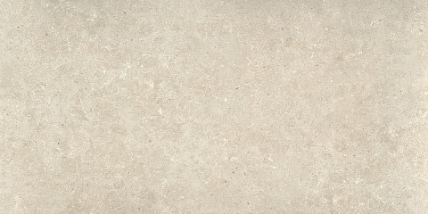 Керамический гранит Ulisse Natural Matt. N30150 595x1200 (STN Ceramica)
