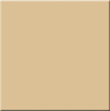 Керамический гранит RAINBOW RW 15 60x60 неполированный (ESTIMA Ceramica)