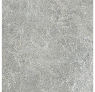 Керамический гранит CANOVA Grey 610010005763 600x600 (COLISEUMGRES)