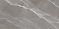 Керамический гранит Эссеншл темно-серый / Essential Graphite полированный 60120ESE25P 600x1200 (New Trend)